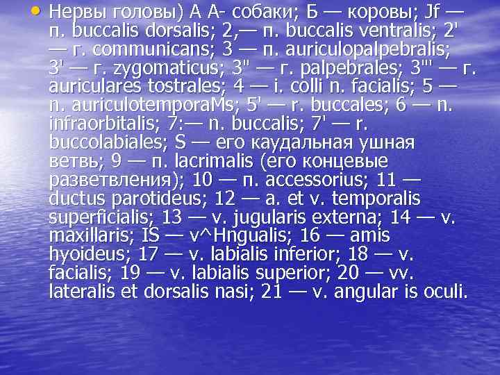  • Нервы головы) А А- собаки; Б — коровы; Jf — п. buccalis