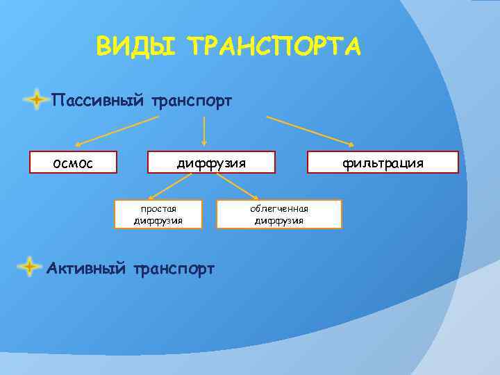 ВИДЫ ТРАНСПОРТА Пассивный транспорт осмос диффузия простая диффузия Активный транспорт фильтрация облегченная диффузия 