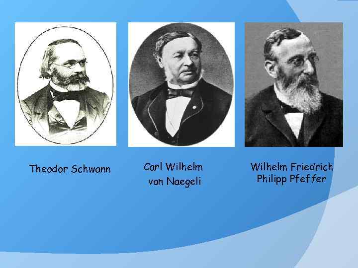 Theodor Schwann Carl Wilhelm von Naegeli Wilhelm Friedrich Philipp Pfeffer 