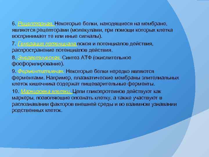 6. Рецепторная. Некоторые белки, находящиеся на мембране, являются рецепторами (молекулами, при помощи которых клетка