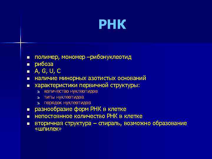 РНК n n n полимер, мономер –рибонуклеотид рибоза А, G, U, C наличие минорных