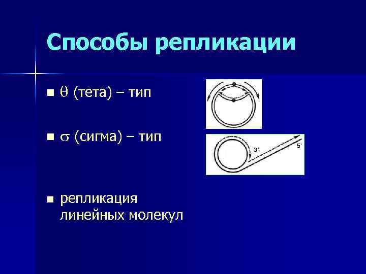 Способы репликации n (тета) – тип n (сигма) – тип n репликация линейных молекул