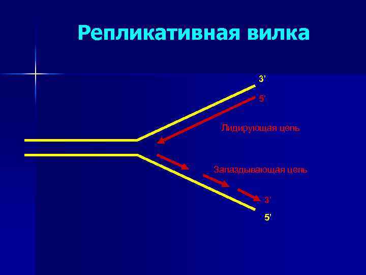 Схема репликативной вилки