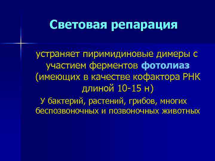 Световая репарация устраняет пиримидиновые димеры с участием ферментов фотолиаз (имеющих в качестве кофактора РНК