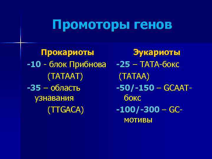 Промоторы генов Прокариоты -10 - блок Прибнова (ТАТААТ) -35 – область узнавания (TTGACA) Эукариоты