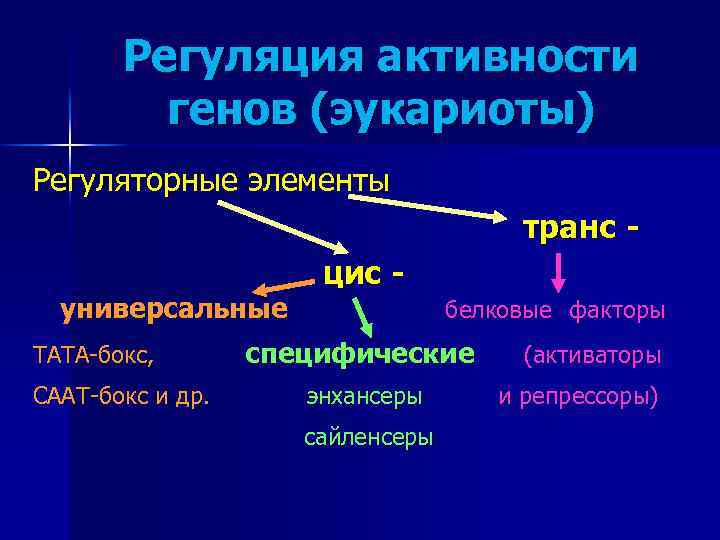 Регуляция активности генов (эукариоты) Регуляторные элементы транс универсальные ТАТА-бокс, СААТ-бокс и др. цис белковые