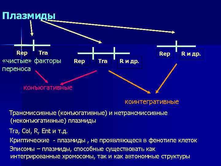 Плазмиды Rep Tra «чистые» факторы переноса Rep Tra R и др. конъюгативные коинтегративные Трансмиссивные