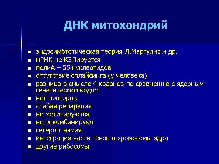 ДНК митохондрий n n n эндосимбтотическая теория Л. Маргулис и др. м. РНК не