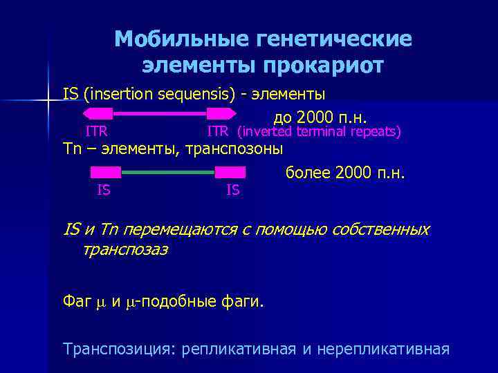 Мобильные генетические элементы прокариот IS (insertion sequensis) - элементы до 2000 п. н. ITR