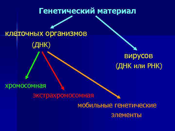 Генетический материал клетки. ЭКСТРАЯДЕРНЫЕ (экстрахромосомные) детерминанты наследственности.. Генетические элементы клеток. Экстрахромосомная ДНК прокариот. Экстрахромосомные генетические детерминанты.