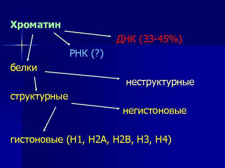 Хроматин ДНК (33 -45%) РНК (? ) белки неструктурные негистоновые (Н 1, Н 2