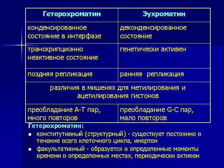 Эухроматин и гетерохроматин