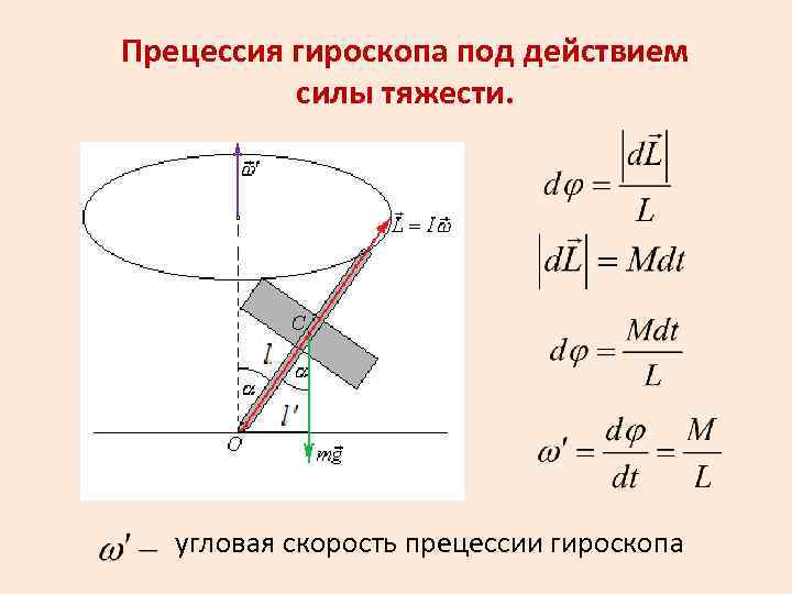 Прецессия гироскопа под действием силы тяжести. угловая скорость прецессии гироскопа 