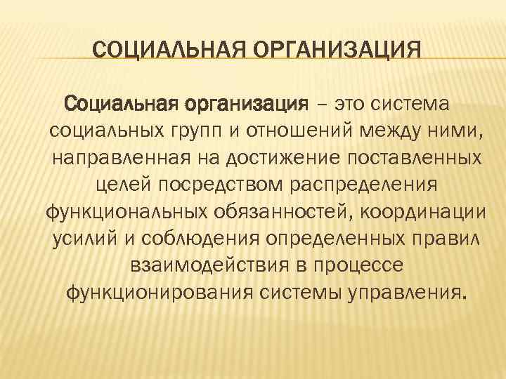 СОЦИАЛЬНАЯ ОРГАНИЗАЦИЯ Социальная организация – это система социальных групп и отношений между ними, направленная