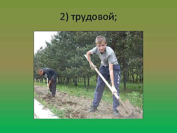 2) трудовой; 