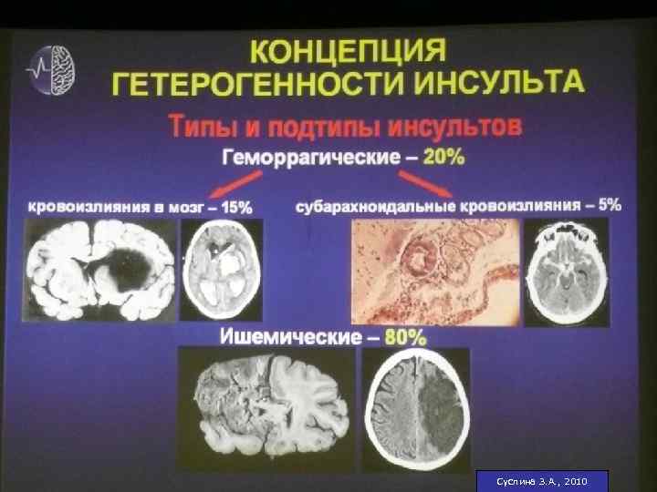 Суслина З. А. , 2010 