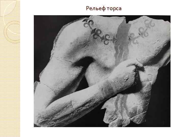 Рельеф торса 