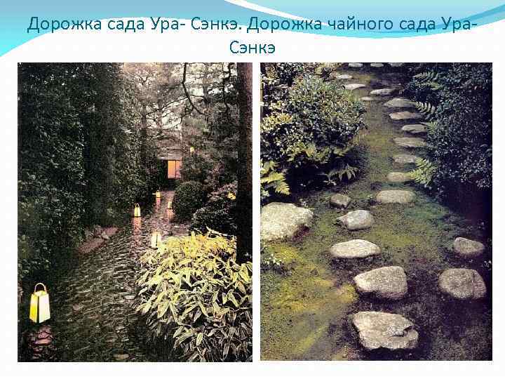 Дорожка сада Ура- Сэнкэ. Дорожка чайного сада Ура. Сэнкэ 