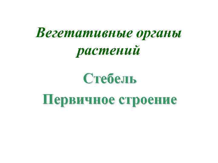 Вегетативные органы растений Стебель Первичное строение 
