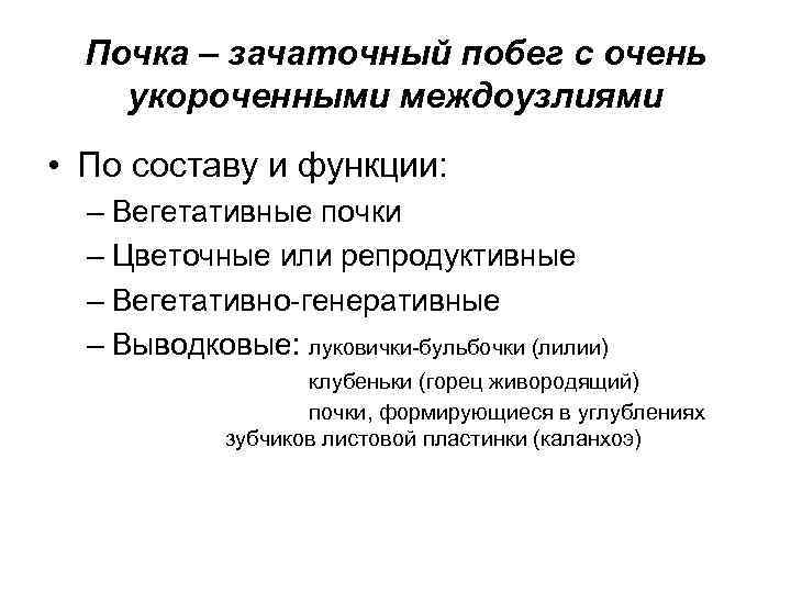 Почка – зачаточный побег с очень укороченными междоузлиями • По составу и функции: –
