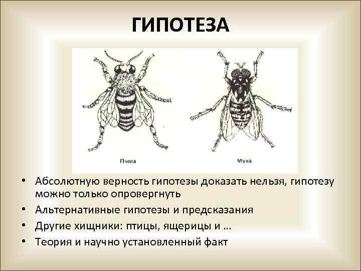 ГИПОТЕЗА • Абсолютную верность гипотезы доказать нельзя, гипотезу можно только опровергнуть • Альтернативные гипотезы