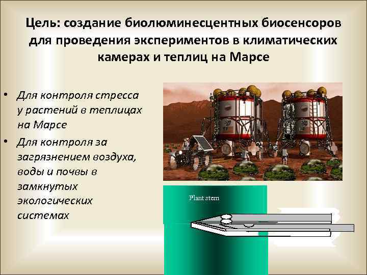 Цель: создание биолюминесцентных биосенсоров для проведения экспериментов в климатических камерах и теплиц на Марсе