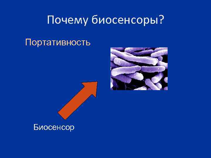 Почему биосенсоры? Портативность Биосенсор 