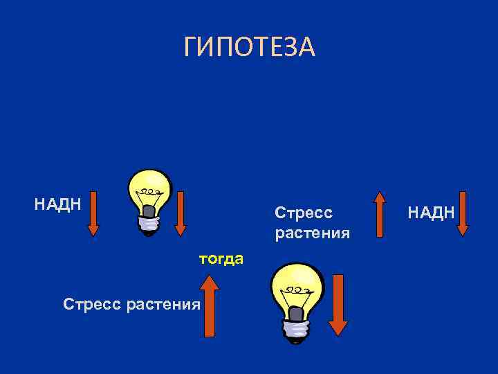 ГИПОТЕЗА НАДН Стресс растения тогда Стресс растения НАДН 