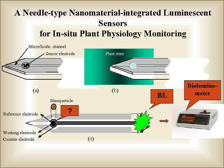 A Needle-type Nanomaterial-integrated Luminescent Sensors for In-situ Plant Physiology Monitoring Microfluidic channel Sensor electrode