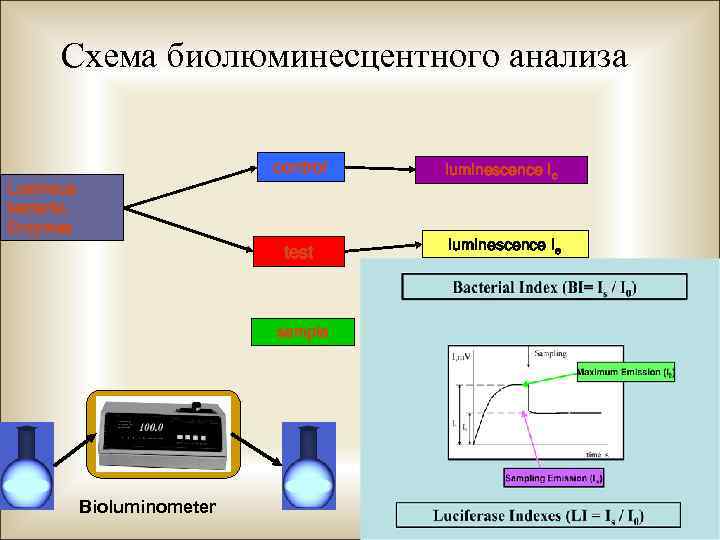 Схема биолюминесцентного анализа control luminescence Iс test luminescence Iе Luminous bacteria, Enzymes sample Bioluminometer