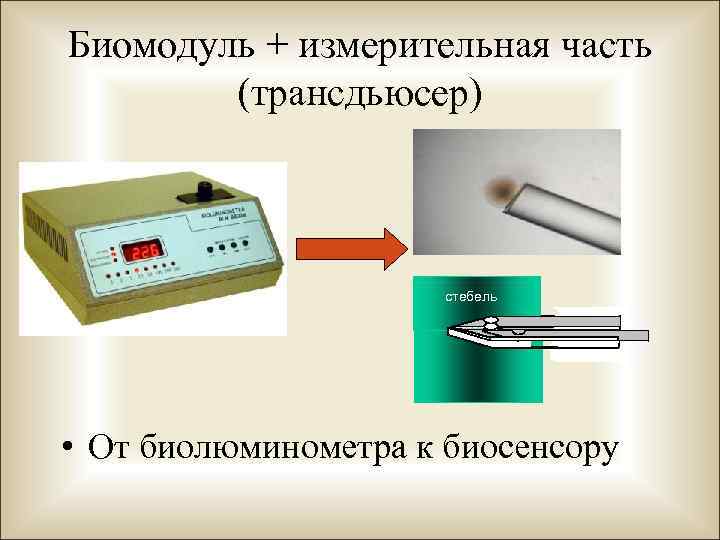 Биосенсоры для мониторинга презентация