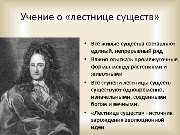 Учение о «лестнице существ» • Все живые существа составляют единый, непрерывный ряд • Важно