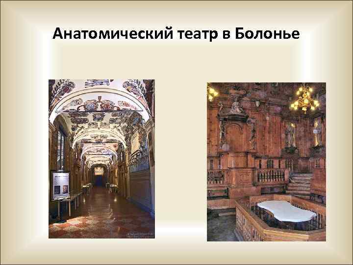 Анатомический театр в Болонье 