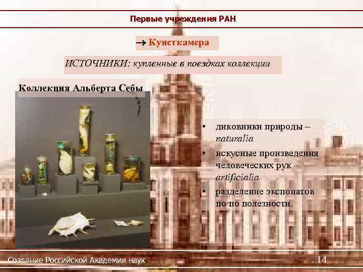Первые учреждения РАН Кунсткамера ИСТОЧНИКИ: купленные в поездках коллекции Коллекция Альберта Себы • диковинки