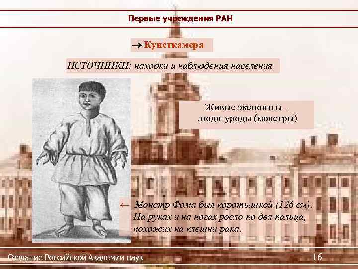 Первые учреждения РАН Кунсткамера ИСТОЧНИКИ: находки и наблюдения населения Живые экспонаты люди-уроды (монстры) Монстр