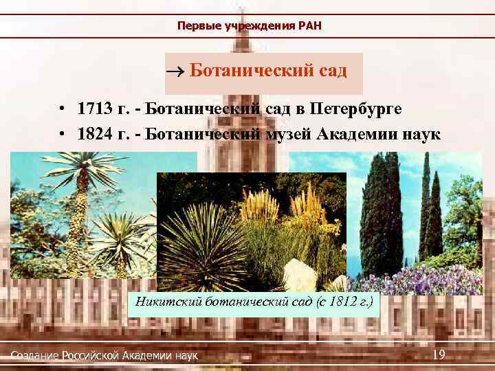 Первые учреждения РАН Ботанический сад • 1713 г. - Ботанический сад в Петербурге •