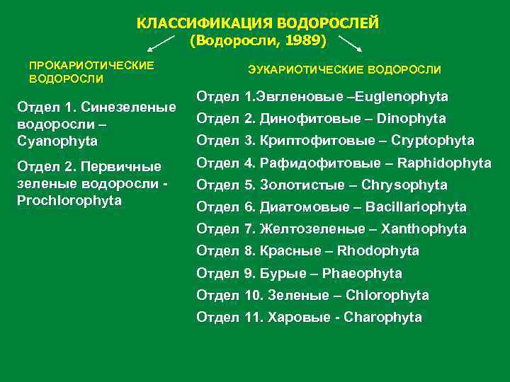 Современная систематика водорослей