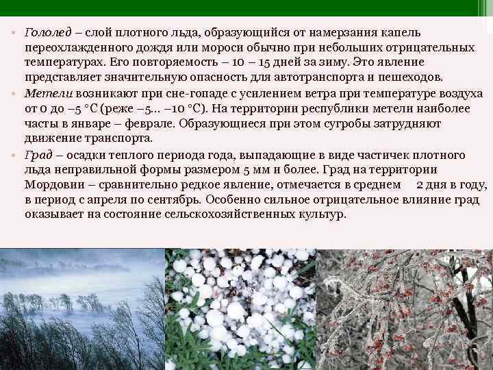 Переохлажденный дождь. Влияние ветра на растения. Гололед —слой льда, образующийся. Отрицательное влияние ветра на растений. Отрицательные воздействия ветра на растения..