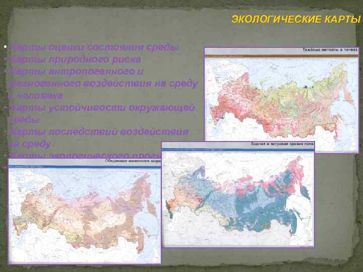 ЭКОЛОГИЧЕСКИЕ КАРТЫ • Карты оценки состояния среды • Карты природного риска • Карты антропогенного