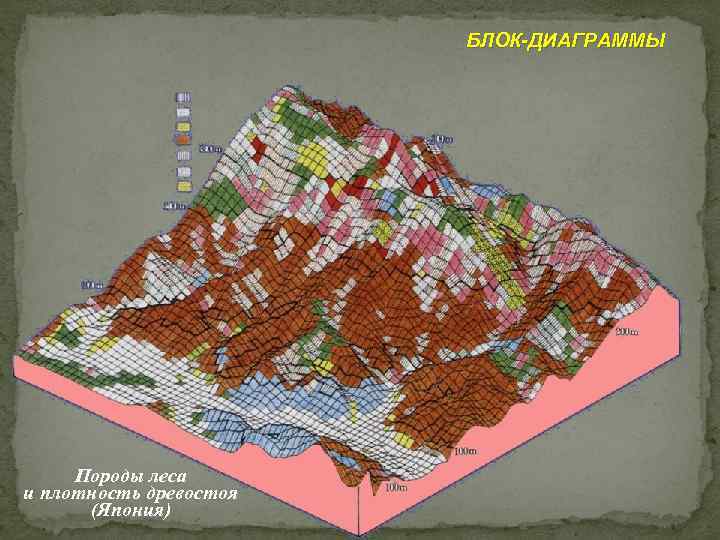 БЛОК-ДИАГРАММЫ Породы леса и плотность древостоя (Япония) 