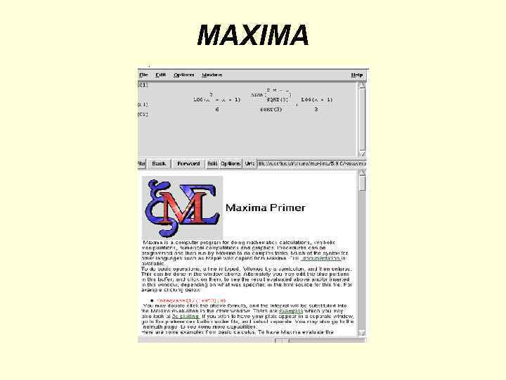 MAXIMA 