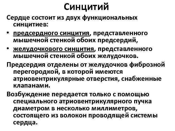 Синцитий Сердце состоит из двух функциональных синцитиев: • предсердного синцития, представленного мышечной стенкой обоих