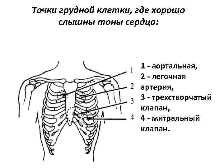 Точка на ключице