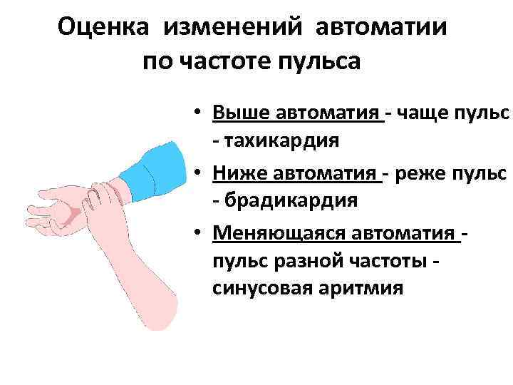 Оценка изменений автоматии по частоте пульса • Выше автоматия - чаще пульс - тахикардия