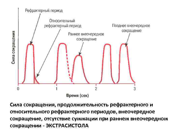 Относительный период