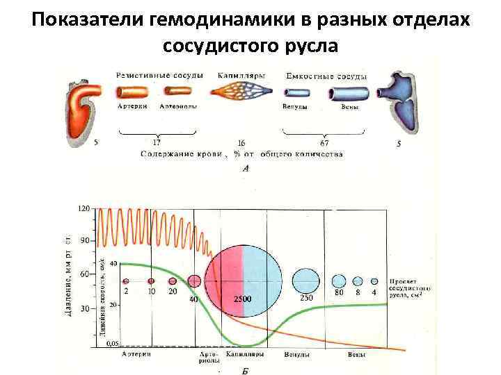 Схема згт при криопереносе