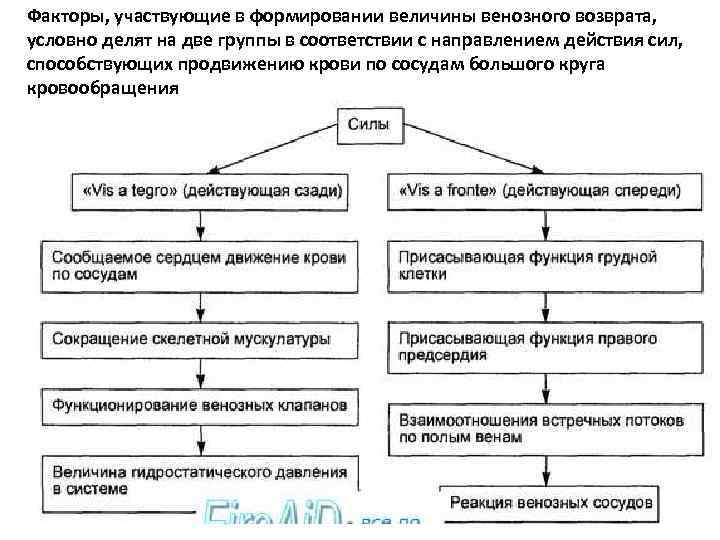 Факторы, участвующие в формировании величины венозного возврата, условно делят на две группы в соответствии