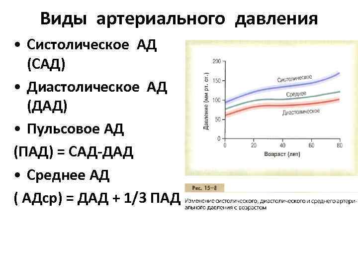 Разность систолического и диастолического давления