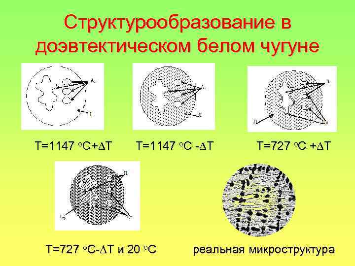 Структурообразование в доэвтектическом белом чугуне Т=1147 o. C+ T Т=1147 o. C - T