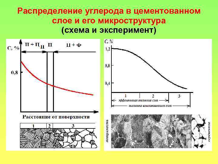 Распределение углерода в цементованном слое и его микроструктура (схема и эксперимент) 